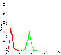 RAD52 Antibody in Flow Cytometry (Flow)