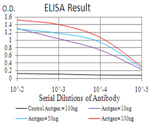 RALA Antibody in ELISA (ELISA)