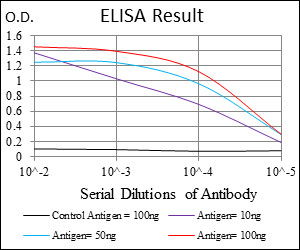 RING1 Antibody in ELISA (ELISA)