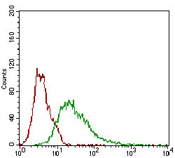 ROR2 Antibody in Flow Cytometry (Flow)