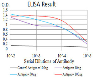 SIRT4 Antibody in ELISA (ELISA)