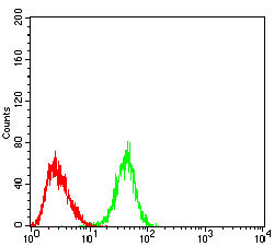 SIRT4 Antibody in Flow Cytometry (Flow)