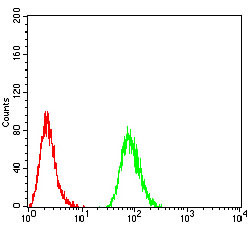 SPHK2 Antibody in Flow Cytometry (Flow)