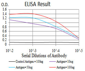 SPHK2 Antibody in ELISA (ELISA)