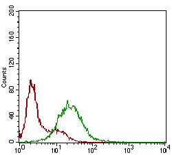 SSTR3 Antibody in Flow Cytometry (Flow)