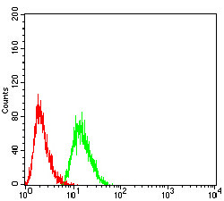 Synapsin 1 Antibody in Flow Cytometry (Flow)