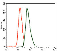 Brachyury Antibody in Flow Cytometry (Flow)