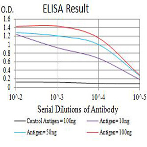 AS160 Antibody in ELISA (ELISA)