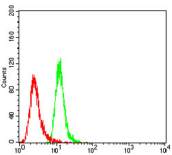 AS160 Antibody in Flow Cytometry (Flow)