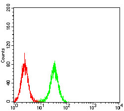 TCF4 Antibody in Flow Cytometry (Flow)