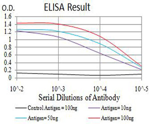 AP2 beta Antibody in ELISA (ELISA)