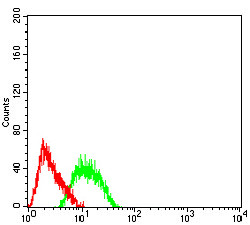 AP2 beta Antibody in Flow Cytometry (Flow)