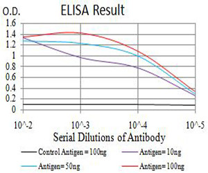 AP2 gamma Antibody in ELISA (ELISA)