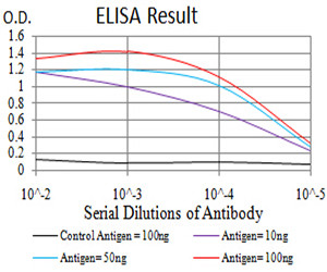 TTF1 Antibody in ELISA (ELISA)