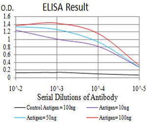 TTF1 Antibody in ELISA (ELISA)