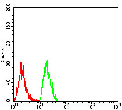 TTF1 Antibody in Flow Cytometry (Flow)