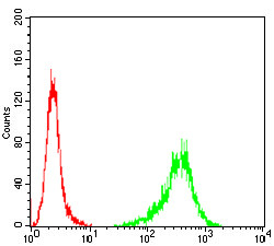 TUBB1 Antibody in Flow Cytometry (Flow)