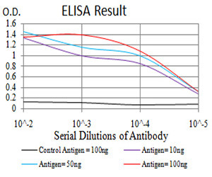 TWIST2 Antibody in ELISA (ELISA)