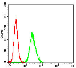 WASP Antibody in Flow Cytometry (Flow)