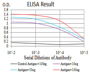 WNT3A Antibody in ELISA (ELISA)