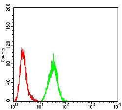 WNT3A Antibody in Flow Cytometry (Flow)