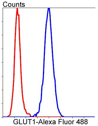 GLUT1 Antibody in Flow Cytometry (Flow)