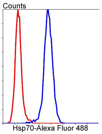 HSP70 Antibody in Flow Cytometry (Flow)