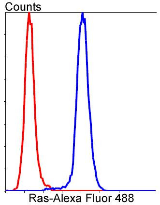 Pan Ras Antibody in Flow Cytometry (Flow)