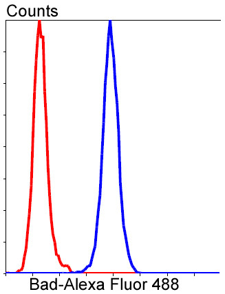 BAD Antibody in Flow Cytometry (Flow)