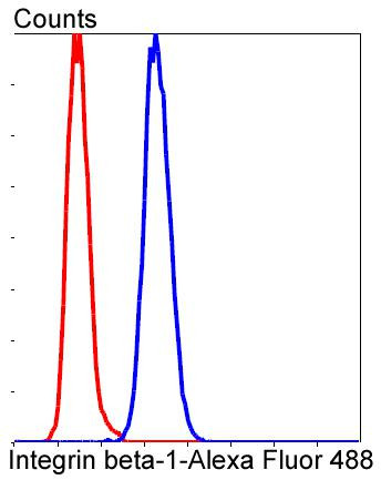 Integrin beta 1 (CD29) Antibody in Flow Cytometry (Flow)