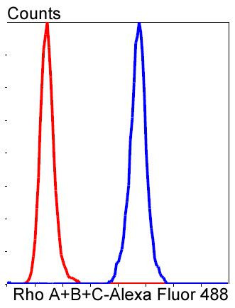 RhoA/RhoB/RhoC Antibody in Flow Cytometry (Flow)