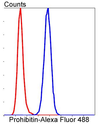 Prohibitin Antibody in Flow Cytometry (Flow)