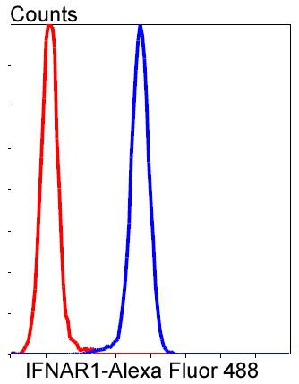 IFNAR1 Antibody in Flow Cytometry (Flow)