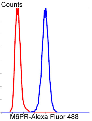 IGF2R Antibody in Flow Cytometry (Flow)