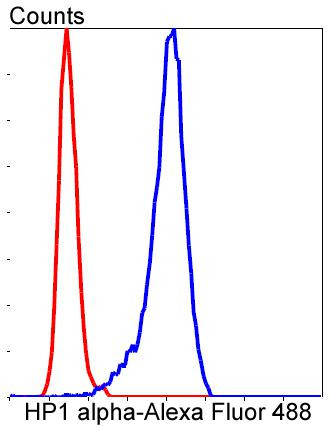 HP1 alpha Antibody in Flow Cytometry (Flow)