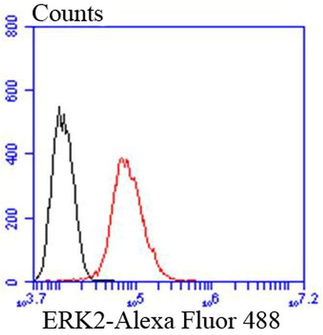 ERK2 Antibody in Flow Cytometry (Flow)