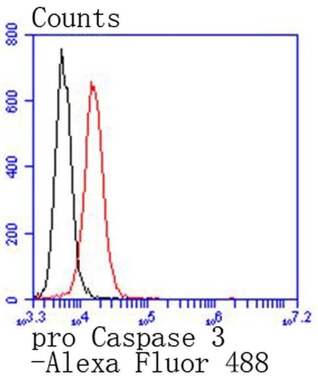 pro-Caspase 3 Antibody in Flow Cytometry (Flow)