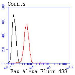 Bax Antibody in Flow Cytometry (Flow)