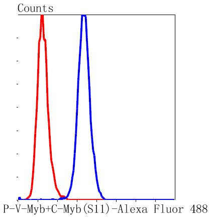 Phospho-Myb (Ser11) Antibody in Flow Cytometry (Flow)