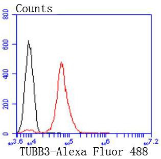 Beta III Tubulin Antibody in Flow Cytometry (Flow)