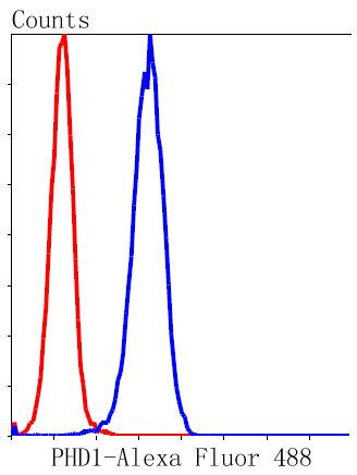 PHD1 Antibody in Flow Cytometry (Flow)