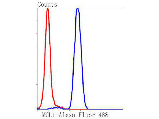 MCL-1 Antibody in Flow Cytometry (Flow)