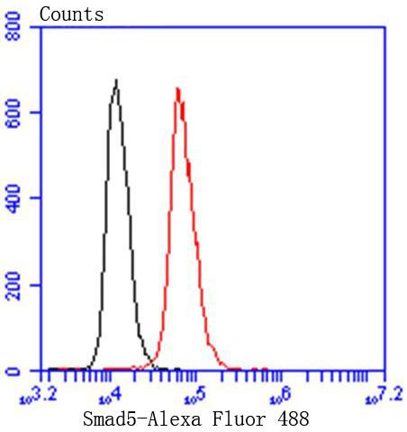 SMAD5 Antibody in Flow Cytometry (Flow)