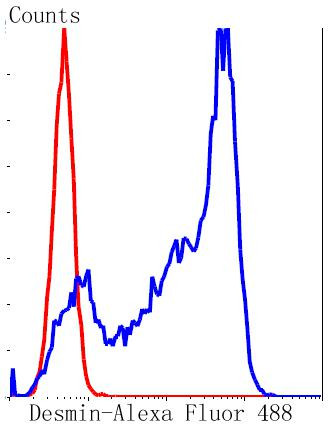 Desmin Antibody in Flow Cytometry (Flow)