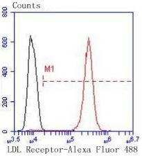 LDLR Antibody in Flow Cytometry (Flow)