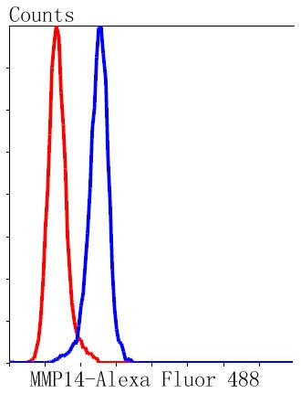 MMP14 Antibody in Flow Cytometry (Flow)