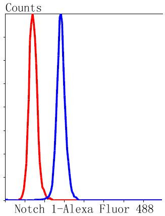 NOTCH1 Antibody in Flow Cytometry (Flow)