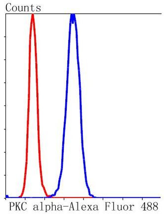 PKC alpha Antibody in Flow Cytometry (Flow)