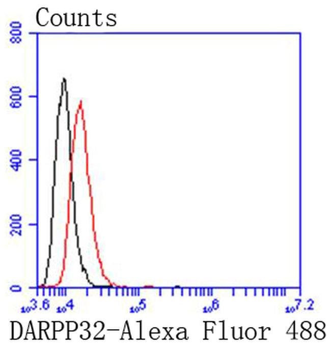 DARPP-32 Antibody in Flow Cytometry (Flow)