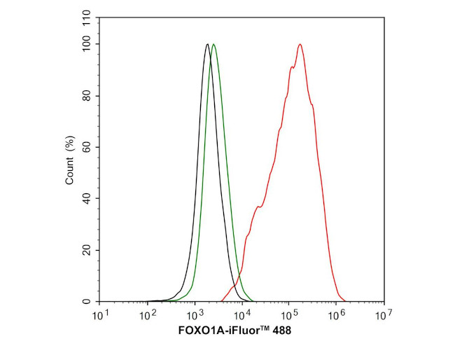 FOXO1 Antibody in Flow Cytometry (Flow)